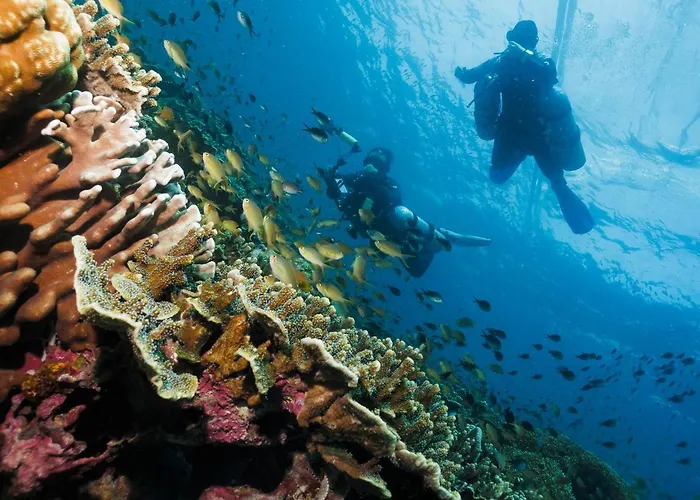 Cebu Seaview Dive 3*